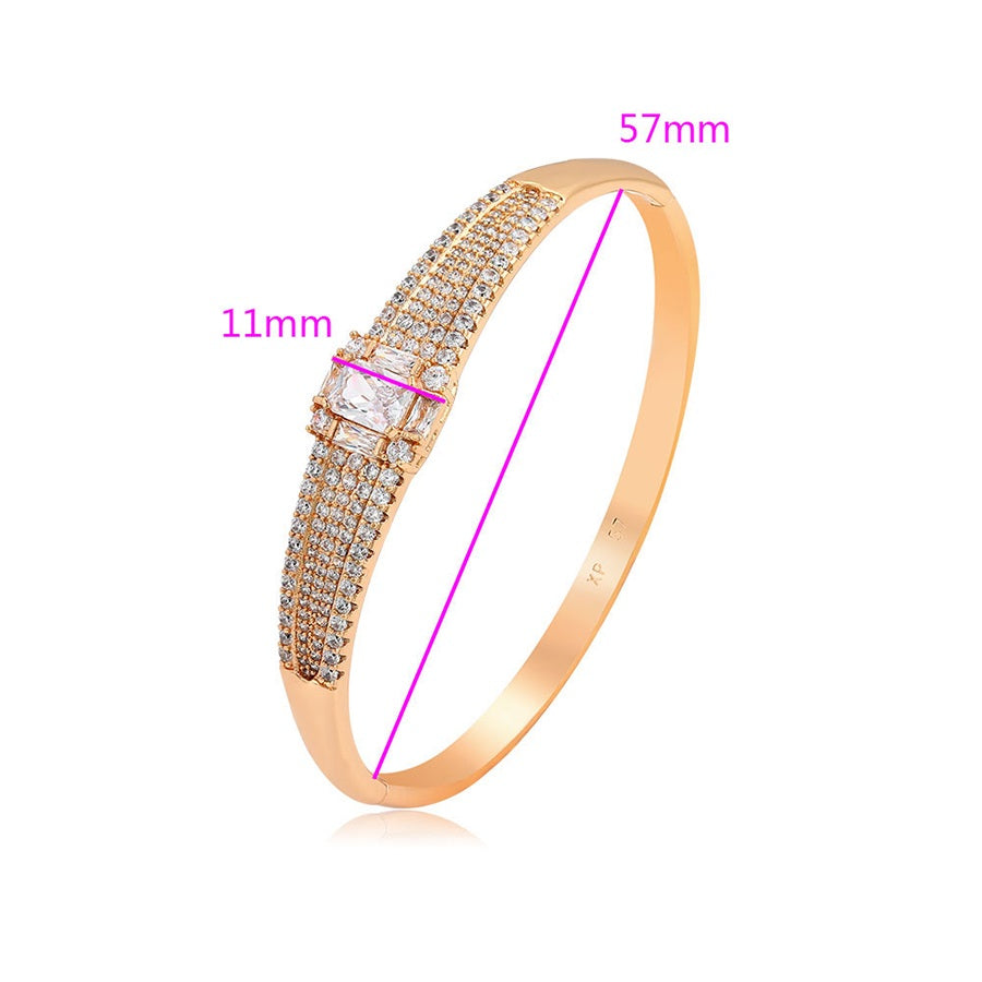 Shree fashion elegant bangle （A00918107）
