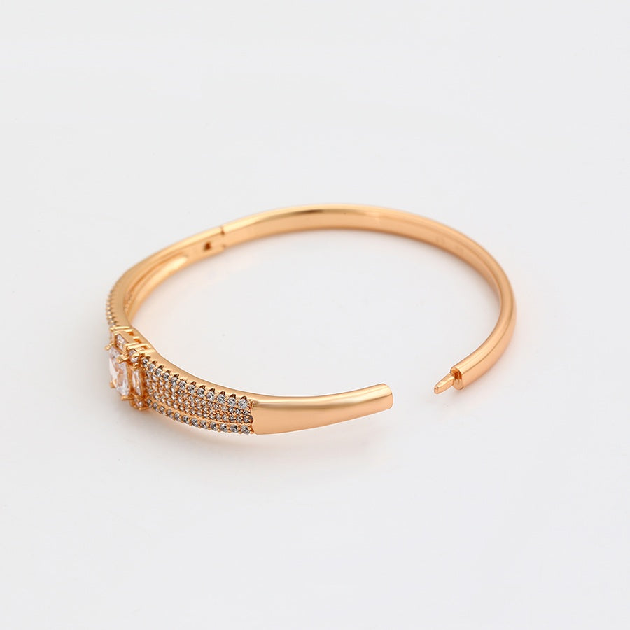 Shree fashion elegant bangle （A00918107）